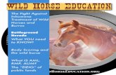 Wild horse education (fall 2014) (fall 2014)