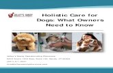 Holistic Care for Dogs: What Owners Need to Know