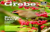 The Grebe Magazine Summer/Autumn 2014