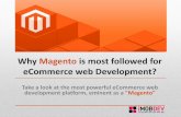 Magento: Mostly recommended for eCommerce web Development
