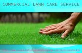Commercial lawn care service