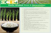 12th december,2014 daily global rice e newsletter by riceplus magazine