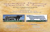 Severence Diamond Charolais and Angus - 2015 Annual Bull Sale