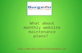 What is monthly website maintenance plans?
