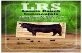 Lassle Ranch Simmentals - 2015 Bull Sale