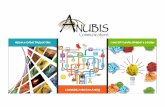 Anubis Communications Portfolio
