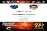 ASB Premiership Wanderers v Wellington Phoenix 25 January 2015