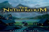 The Nethergrim by Matthew Jobin excerpt