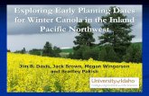 Exploring Early Planting Dates for Winter Canola in the Inland Pacific Northwest