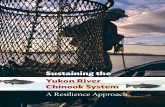 Sustaining the Yukon River Chinook System A Resilience Approach