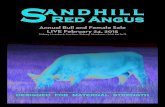 Sandhill Red Angus - 2015 Bull and Female Sale