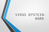 Virus de epstein BARR