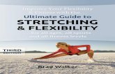 Ultimate guide to stretching flexibility