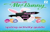 Spring E-Activity Guide 2015