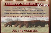 2015 The Gathering