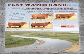Flat Water Gang - 2015 Red Angus Production Sale