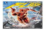 The Flash New52: Issue 030