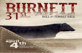 Burnett Angus 31st Annual Black Angus Bull & Female Sale