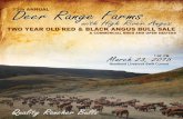 Deer Range & High River Angus Two Year Old Bull Sale, 2015