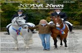 NODA News Issue 3, 2015