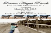 Larson Angus Ranch - 11th Annual Production Sale