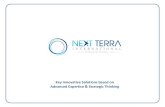 Next Terra international Consulting Company