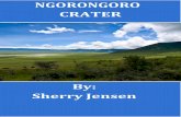 Ngorongoro Crater by Sherry Jensen