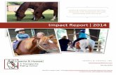 Hearts & Hooves Impact Report 2014