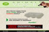 Animal Voice - March 2015