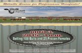 2015 Sandill Farms Production Sale