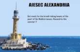 AIESEC ALEXANDRIA's Summer Projects 2015