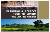 Planning a perfect tour to sonoma valley wineries
