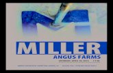 Miller Angus Farms - 2015 Bull Sale