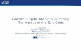 Growth, Capital Markets, Currency: The Impact of the Euro Crisis