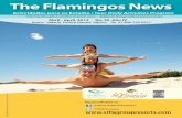Flamingos News