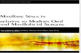 Max Sinus in Relation to Omfs