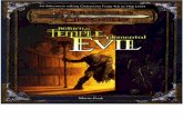 TSR 11843 - Return to the Temple of Elemental Evil