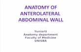 Anatomy of Abdominal Wall