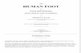 _(11)the Human Foot Form and Structure (1889)