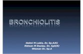K4 IKA Bronchiolitis (IKA)