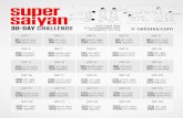 Super Saiyan Challenge