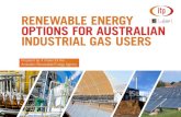 Renewable Energy Options for Australian Industrial Gas Users