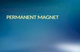 Permanent Magnet Manufacturers in India