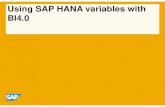 1301 - BusinessObjects with HANA - Variables.pdf