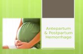 Antepartum & Postpartum Hemorrhage