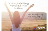 Reacquainting Yourself With Nature the Benefits of Eco-Therapy