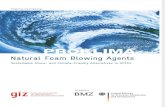 Natural Foam Blowing Agents