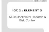 IGC2 Element 3 Muscluskeletal