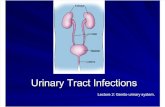 K - 9 Urinary Tract Infection (Ilmu Penyakit Dalam)
