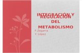 Integracacion y Regulación Metabólica(1)